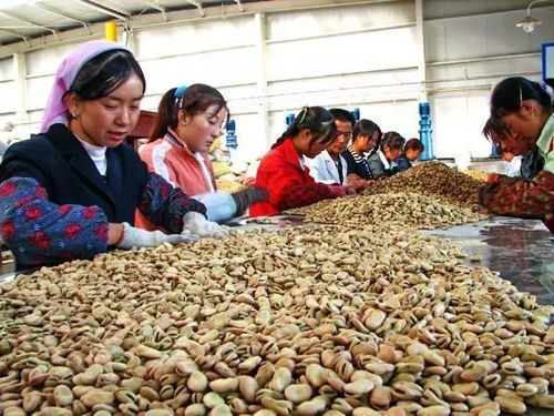 發(fā)展農(nóng)產(chǎn)品加工業(yè)有何好處 哪些是最賺錢的領(lǐng)域