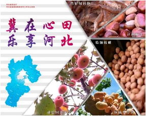 加強(qiáng)農(nóng)產(chǎn)品推廣 河北農(nóng)業(yè)打造特色區(qū)域品牌