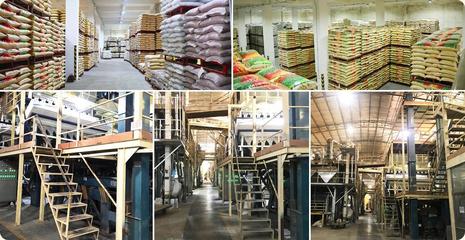 廣東金威瑪糖納豆原料精選白豆代加工