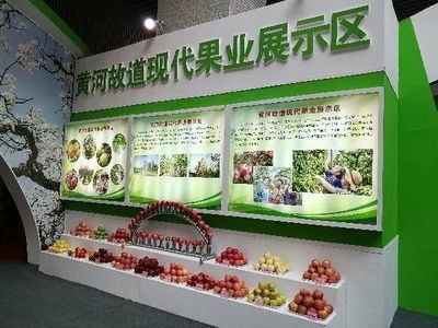 200余種豐縣名特優農產品受到南京市民熱捧