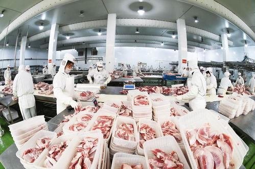 內蒙古多措并舉培育壯大農副食品加工業
