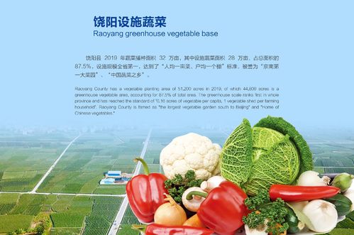 5 18 廊坊經洽會 聚焦河北特色農產品