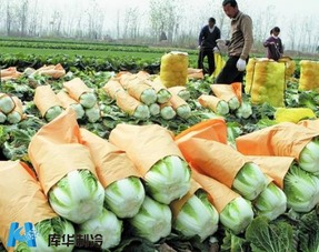 果蔬相繼 滯銷 ,農產品冷庫冷鏈能挽救嗎