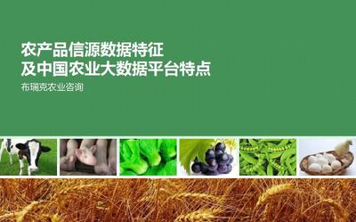 農(nóng)產(chǎn)品信源數(shù)據(jù)特征及中國(guó)農(nóng)業(yè)大數(shù)據(jù)平臺(tái)特點(diǎn)PPT