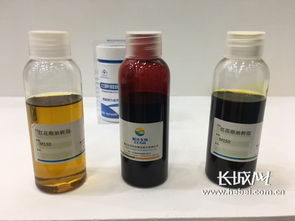 蔬菜 食用菌 中藥材 河北省優質出口農產品展吸引國內外采購商開展農業領域投資合作
