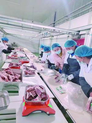 公司肉產品加工車間,工人們在稱重、包裝牛羊肉,滕欣妤(右三)監督并指導。