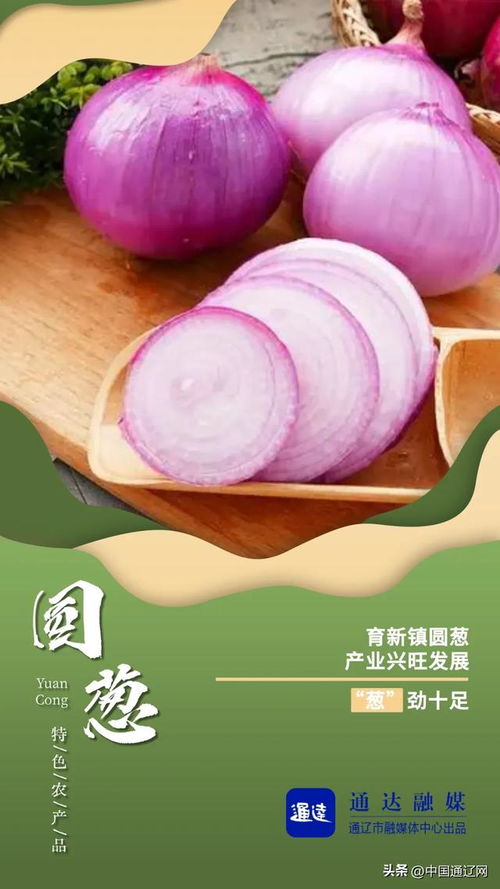 通遼這些特色農產品,你知道嗎