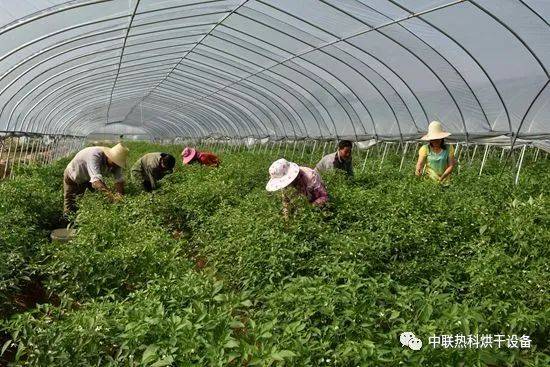 農副產品和農產品的區別在哪 農副產品加工有補貼嗎
