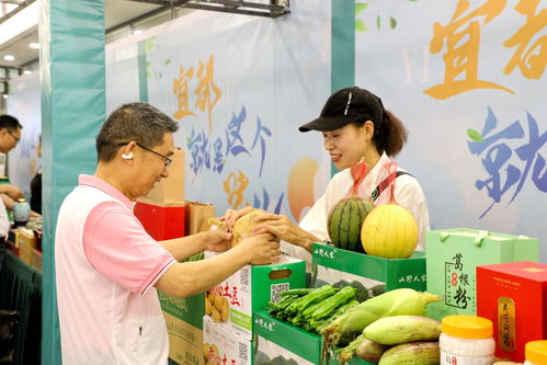 宜都啟動農產品區域公用品牌名稱和推廣語征集