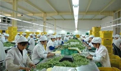 什么樣的人適合辦廠(農村辦什么工廠能賺錢)