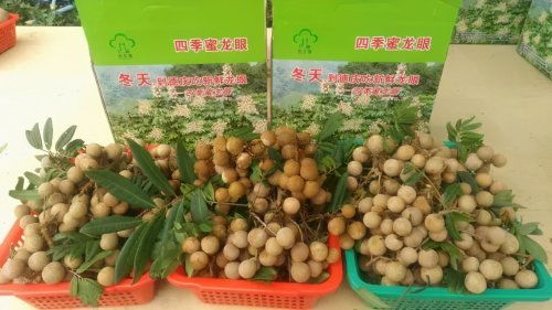 全省第3個 肇慶被確定為國家農產品質量安全市創建單位