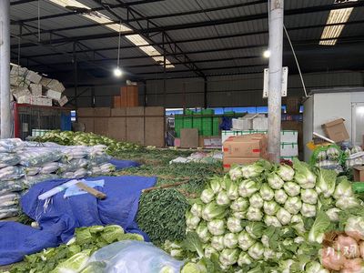 新春走基層|探訪西南最大農產品批發市場:蔬菜由兩天一發變為一天一發