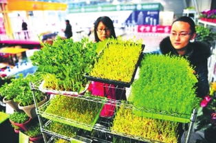 蘭州市首家農藥監管平臺建立 保障農產品生產安全和質量安全