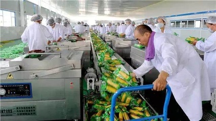 大農推介:只靠賣農產品是很難發財的,深加工才是致富新路!