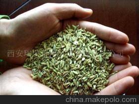【有機小茴香(圖)-有機小茴香】價格,廠家,圖片,農產品代理加盟,西安瑞彼蕾伸科技有限責任公司 外貿部 -