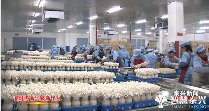市農產品加工園區:引進稅源型項目 奮力沖刺“百億”規模