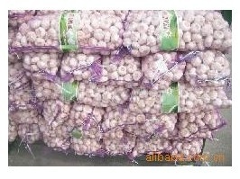 【【順旺農產品】供應多種大蒜(來電訂購)(圖)】價格,廠家,圖片,蔥姜蒜類,青島順旺農產品-
