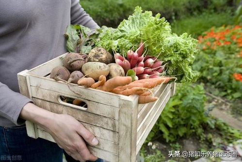 中國農業未來將面臨許多機遇和挑戰,讓我們今天簡單地談談