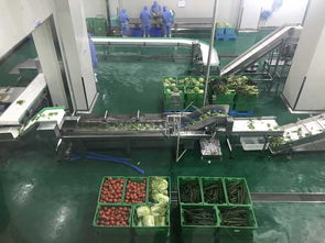 超級農場 超級工廠 云廚一站全產業鏈模式打造餐飲新業態