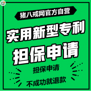 八戒知識(shí)產(chǎn)權(quán)專(zhuān)利代理服務(wù)與全球采購(gòu)網(wǎng)其他服務(wù)的協(xié)同優(yōu)勢(shì)